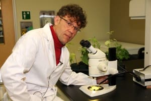 Grbić at Microscope (Portrait)