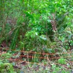 A fence without labels