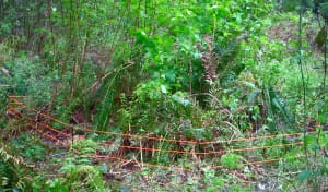 A fence without labels