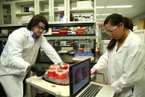 vibration platform lab