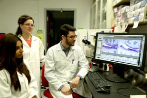 vibration platform lab