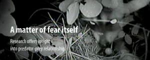 Population Fear