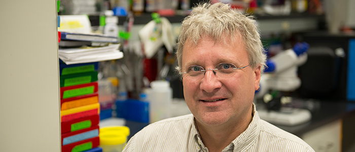 Increasing lifelong mobility by addressing osteoarthritis