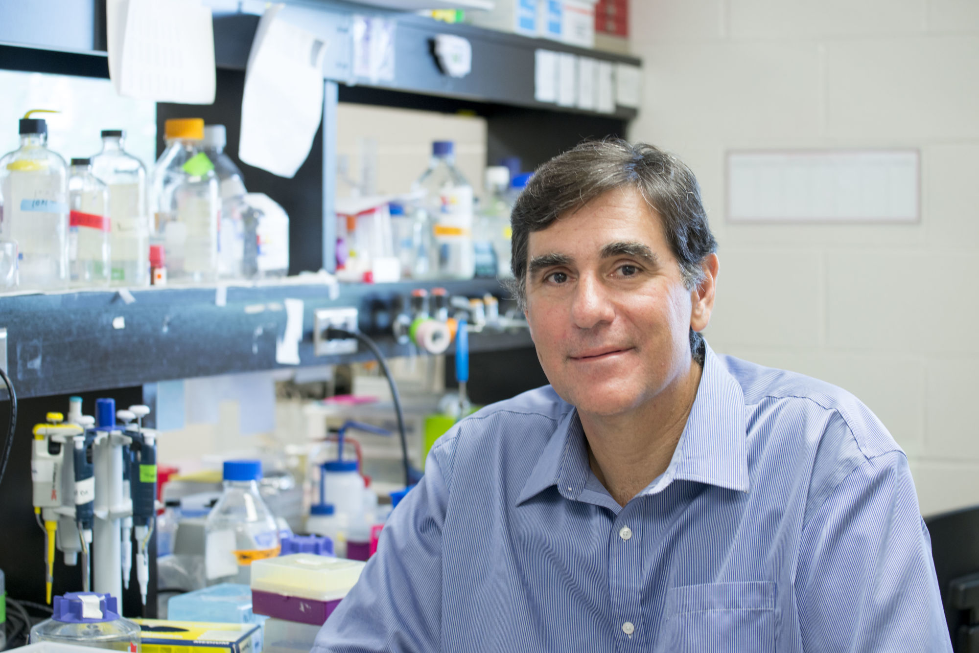 Understanding how chemical changes in the brain affect Alzheimer’s disease