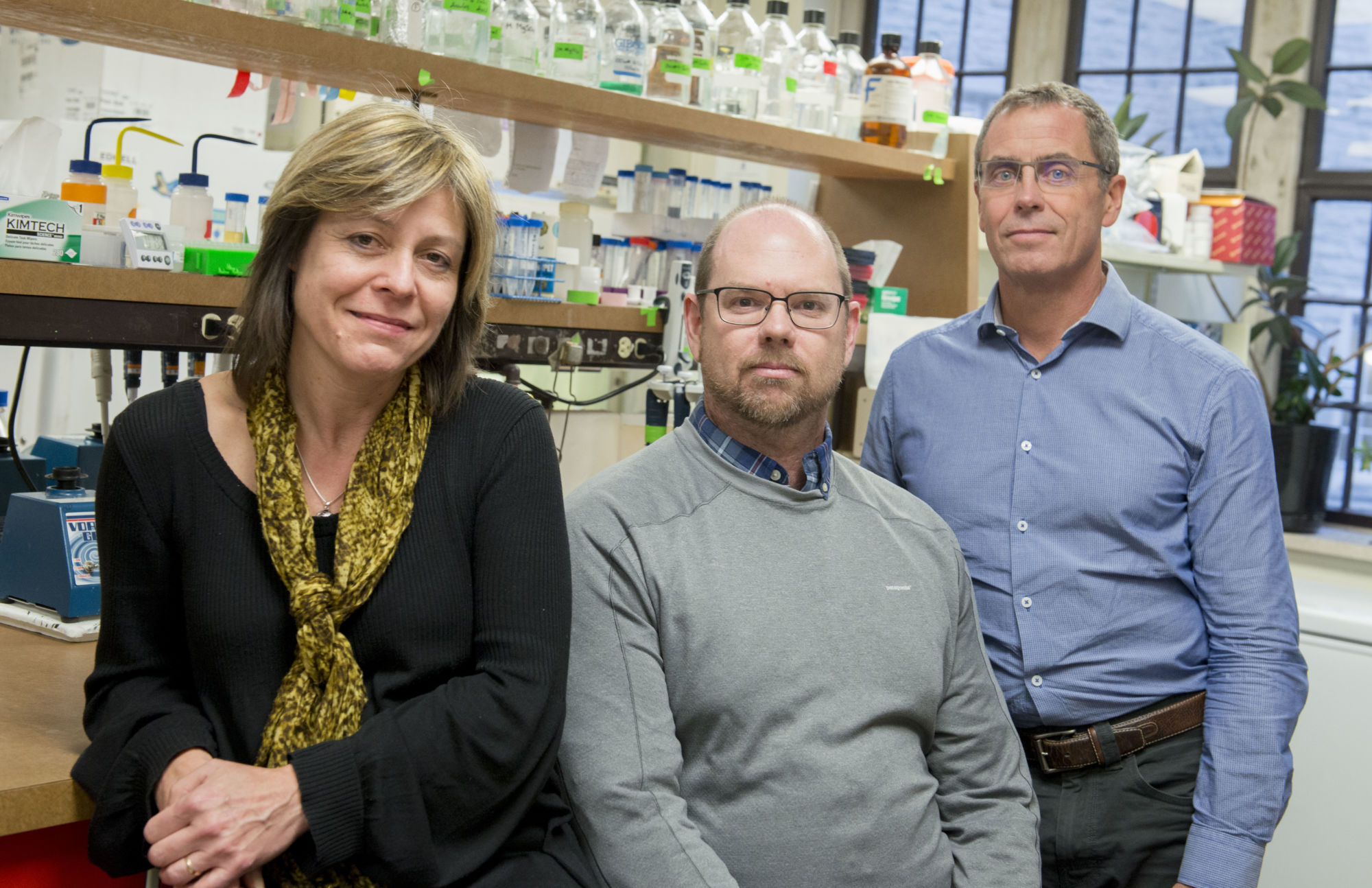 Scientists use ‘molecular-Lego’ to take CRISPR gene-editing tool to the next level