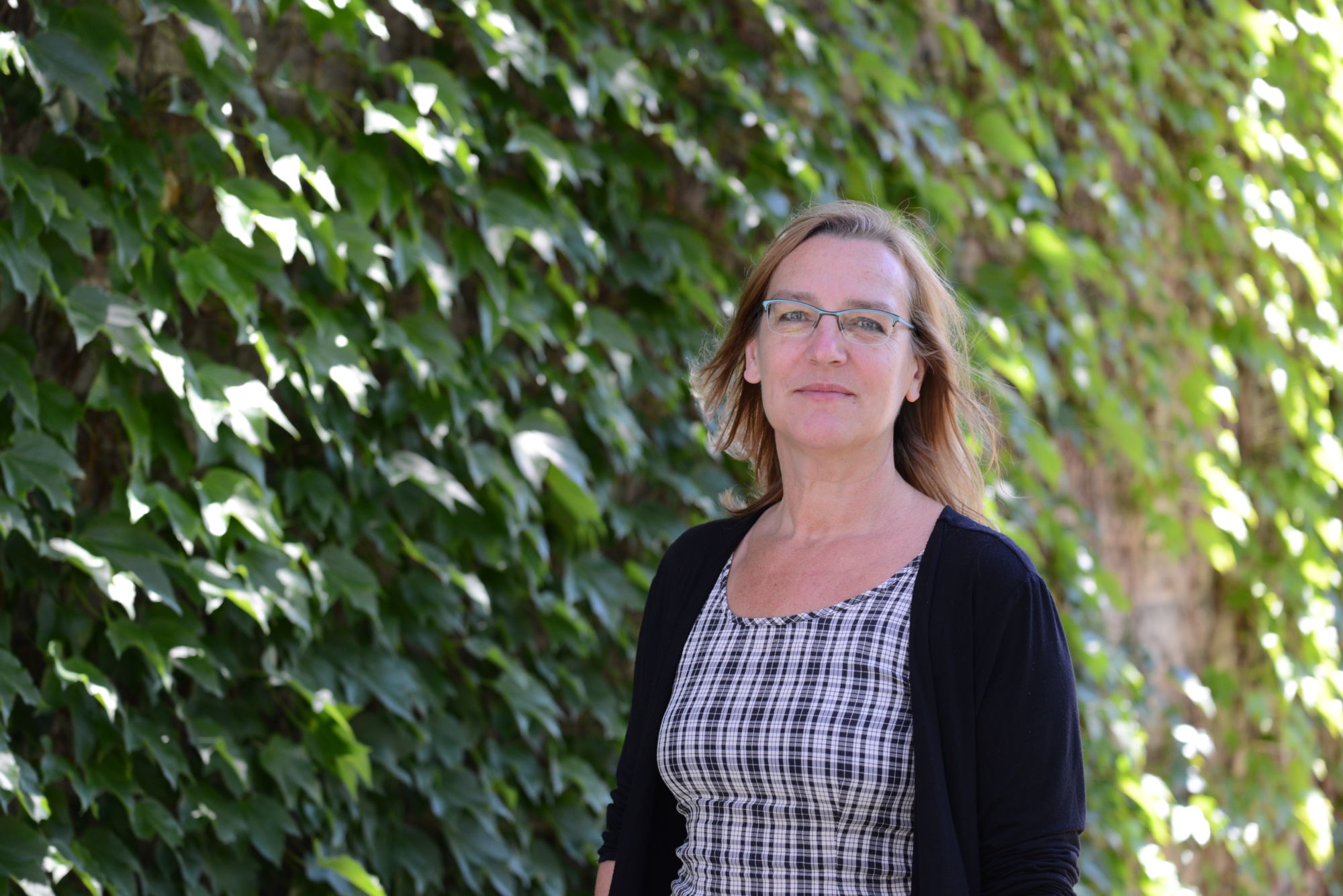 Western University researchers identify mechanism that regulates acoustic habituation