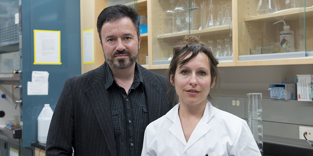 Western researchers reverse the negative effects of adolescent marijuana use