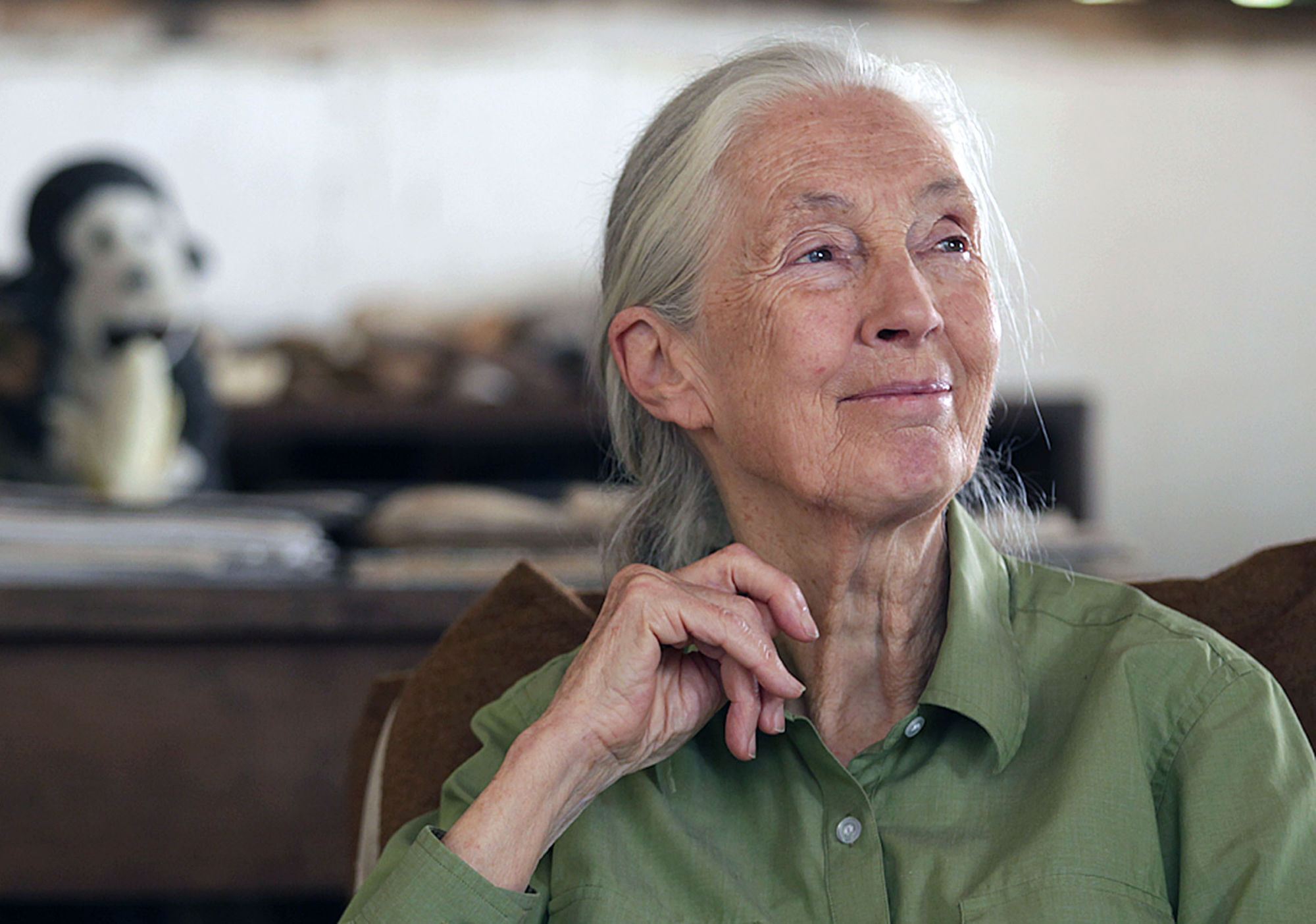 Western to honour Jane Goodall with honorary degree at special convocation ceremony