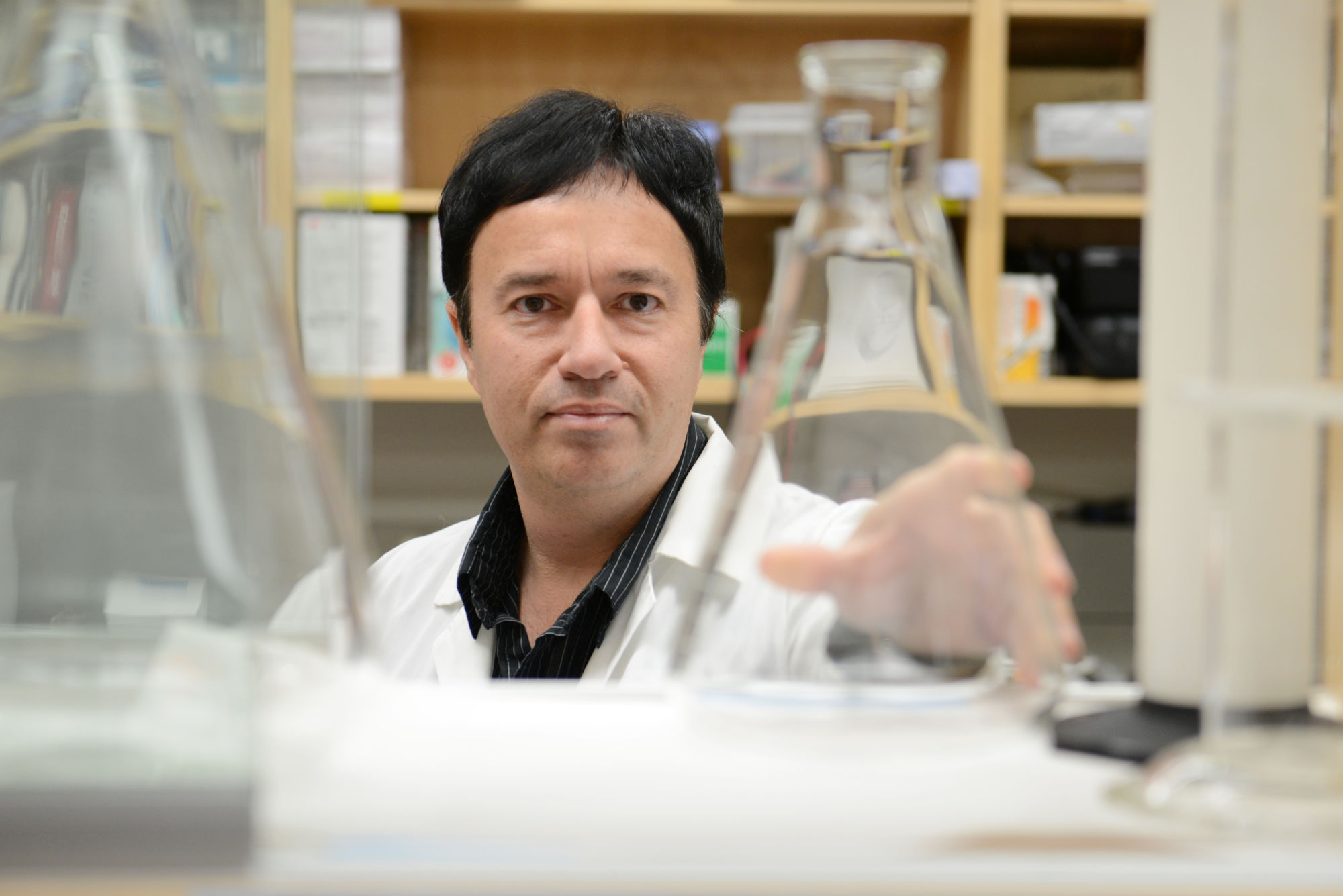 Researchers identify brain mechanism linking PTSD and addiction