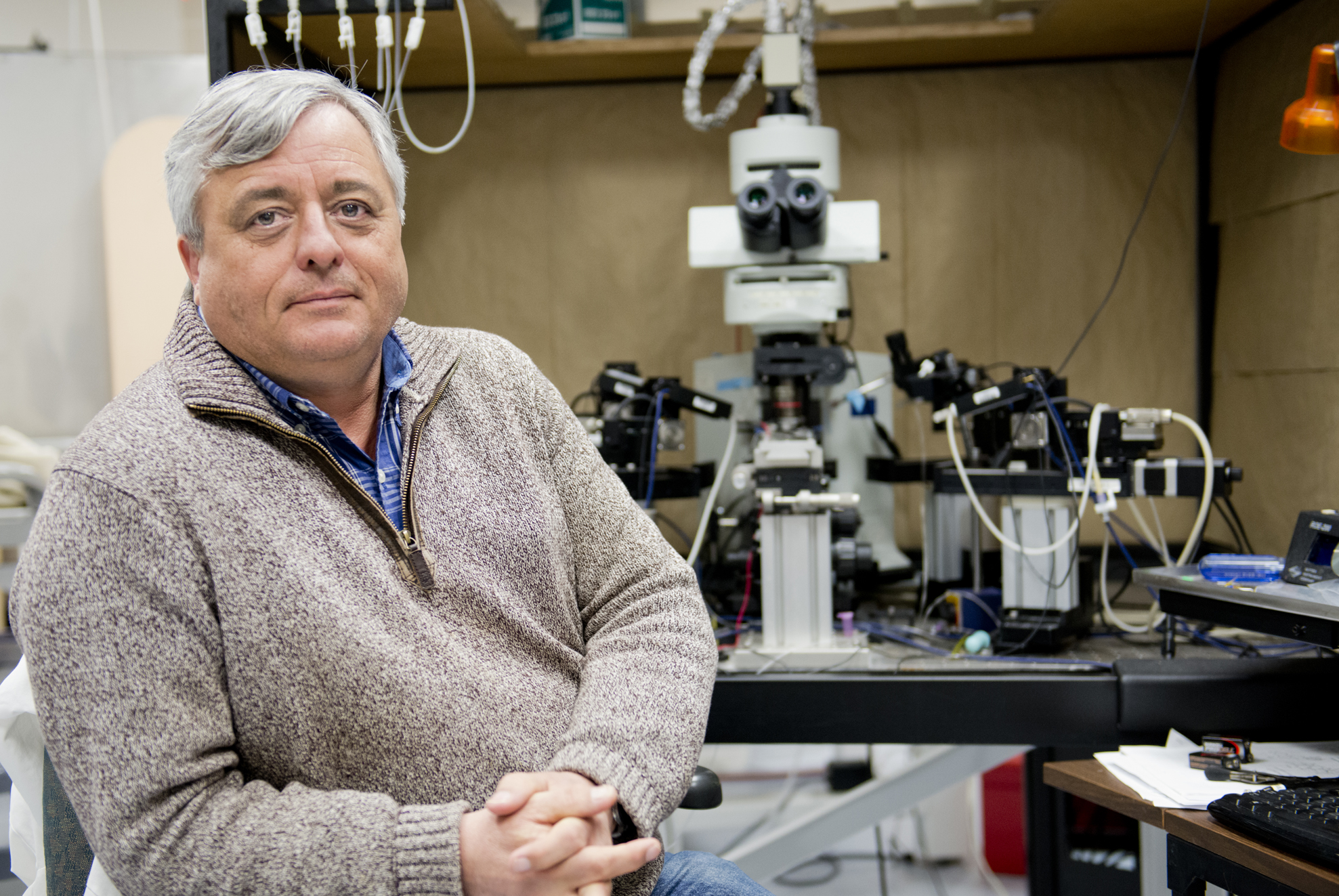Researchers find a way to stop stress-induced seizures after traumatic brain injury