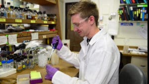 Matthew Berg in the laboratory at Schulich Medicine & Dentistry, Western University