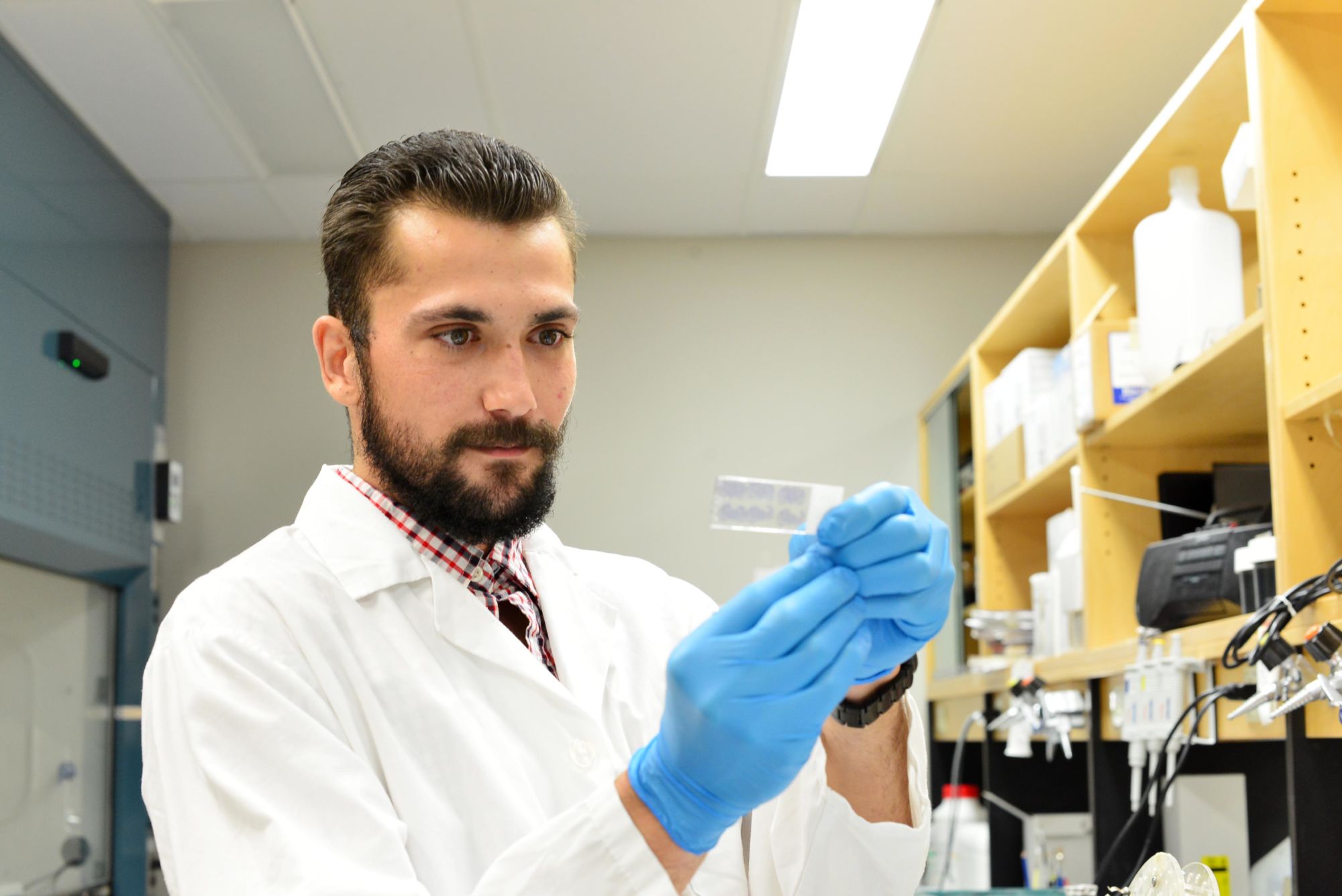 Cannabis study reveals how CBD offsets the psychiatric side-effects of THC