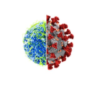 EBOLA-COVID_graphic
