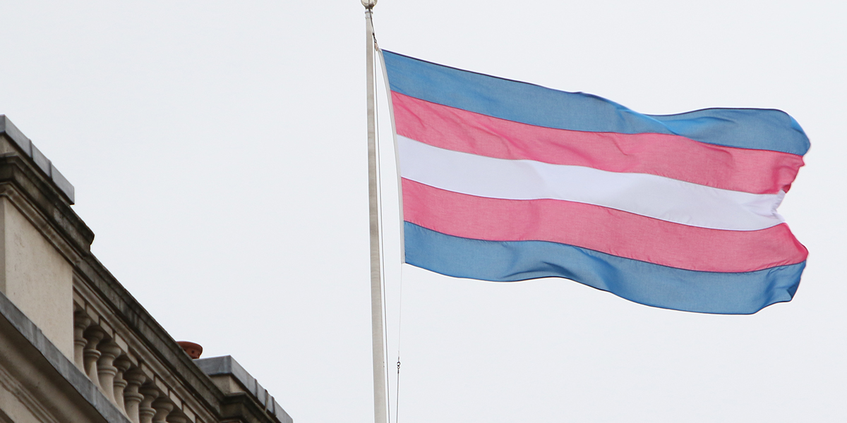 Racialized trans and non-binary Canadians report increased harassment and violence