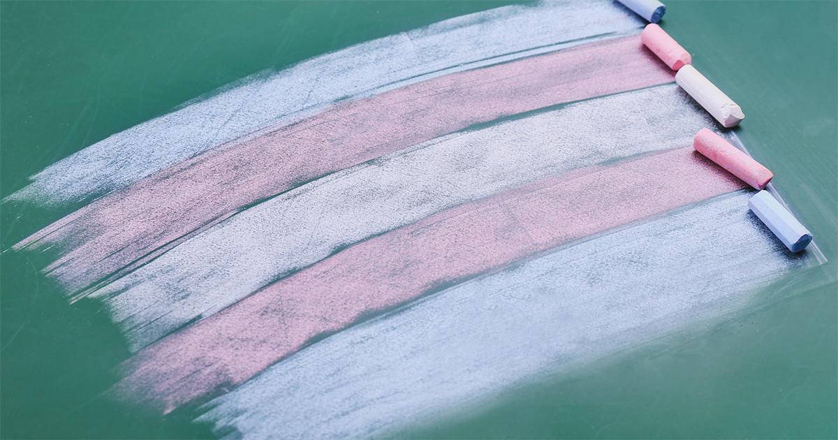 Trans PULSE Canada highlights diverse experiences of trans and non-binary Canadians