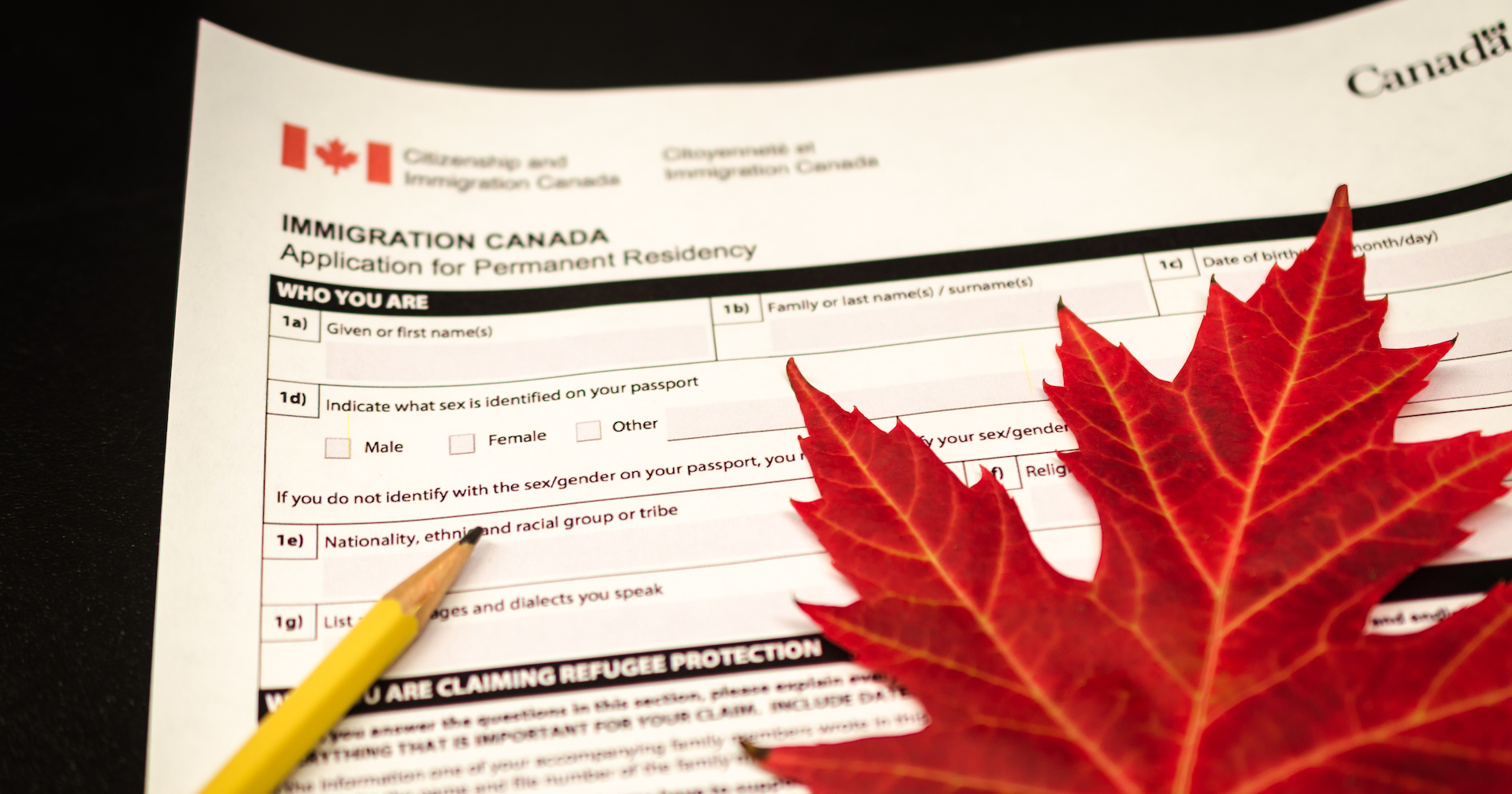 Pandemic reveals strengths and ‘fault lines’ in Canada’s immigration system