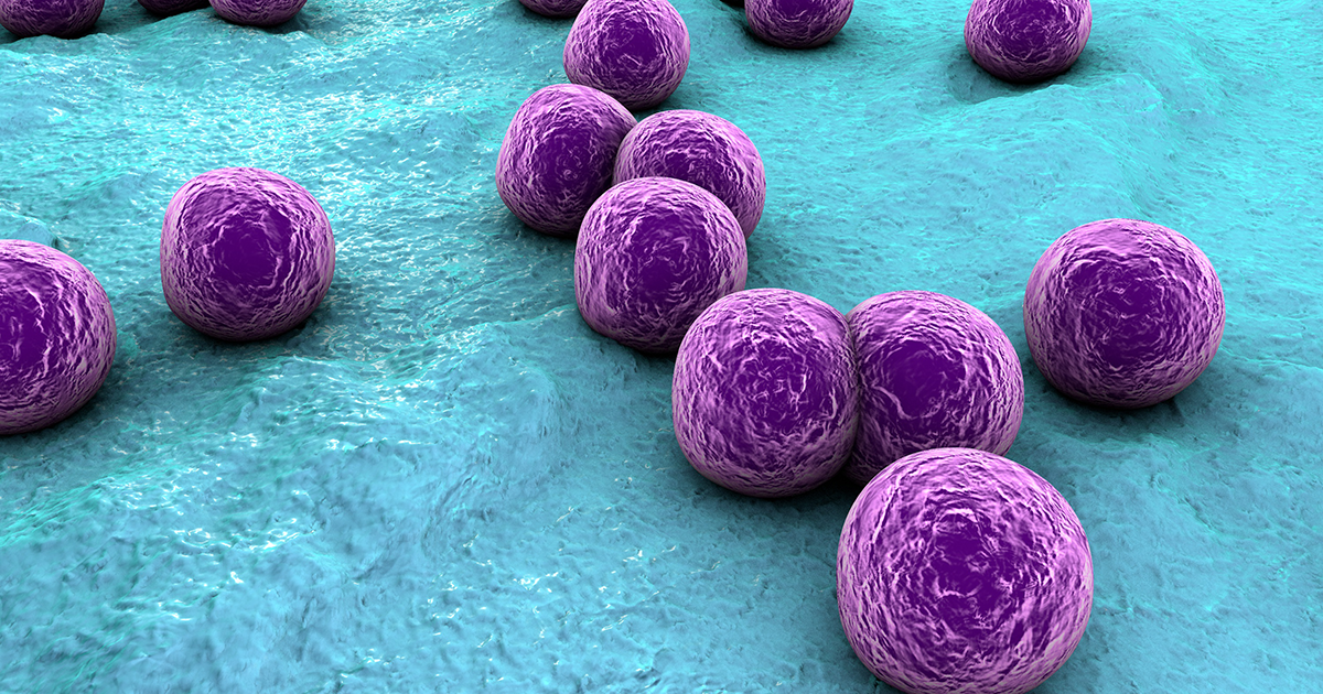 Fighting infection by harnessing the competitive nature of bacteria