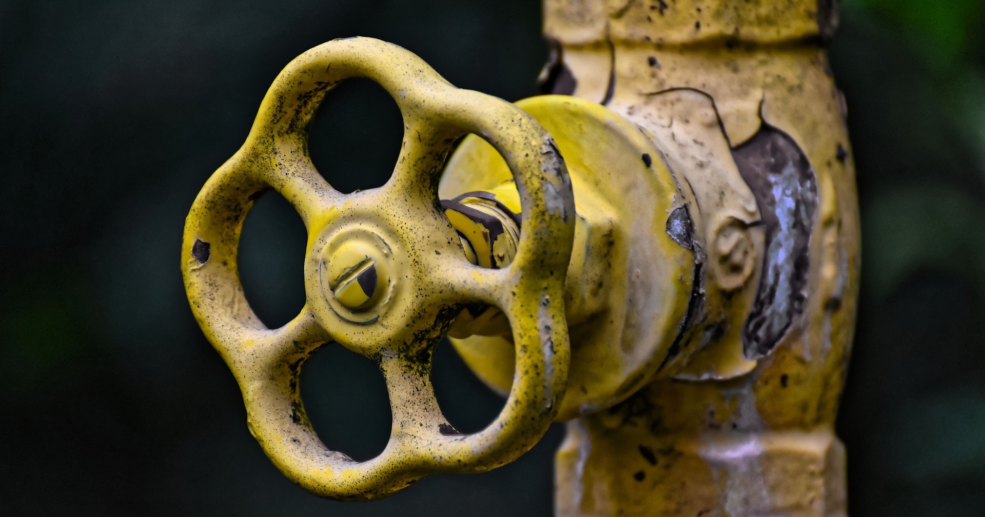 Western scientists address corrosion issues