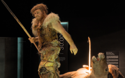 Body of evidence: New international research offers insight on climate change impact on early humans’ size