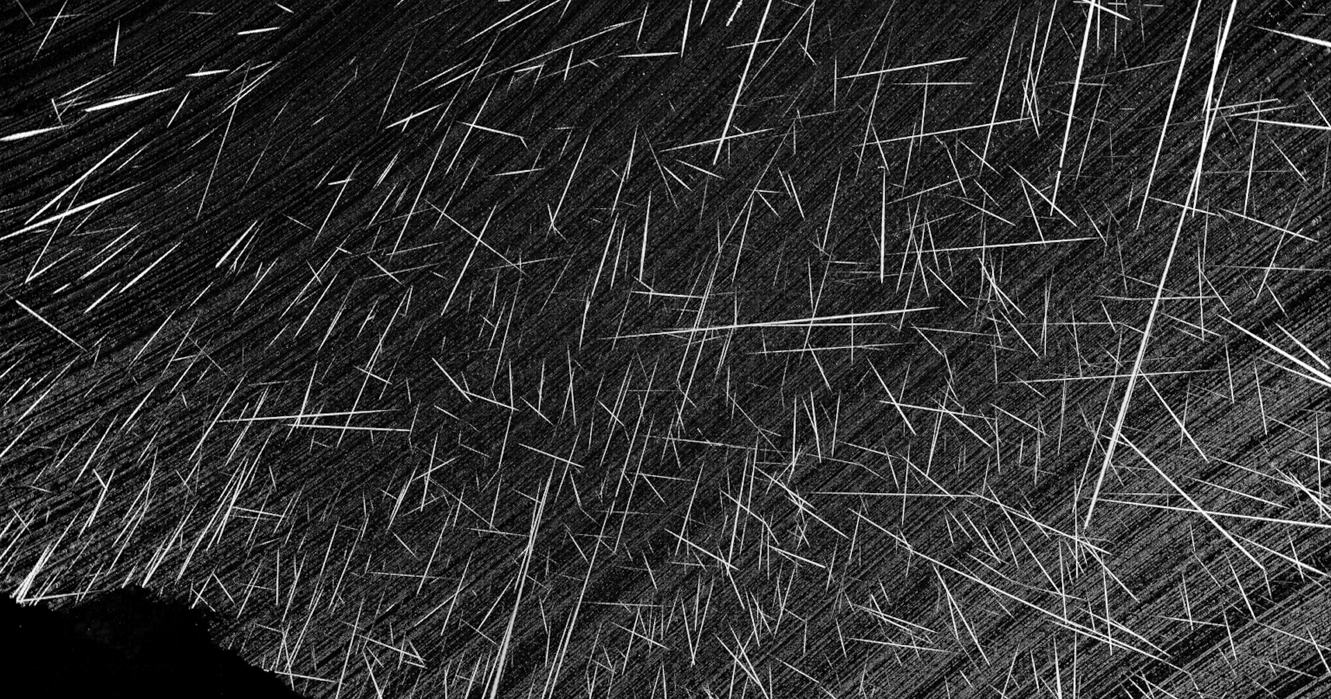 Global Meteor Network monitors the skies in search of celestial bodies