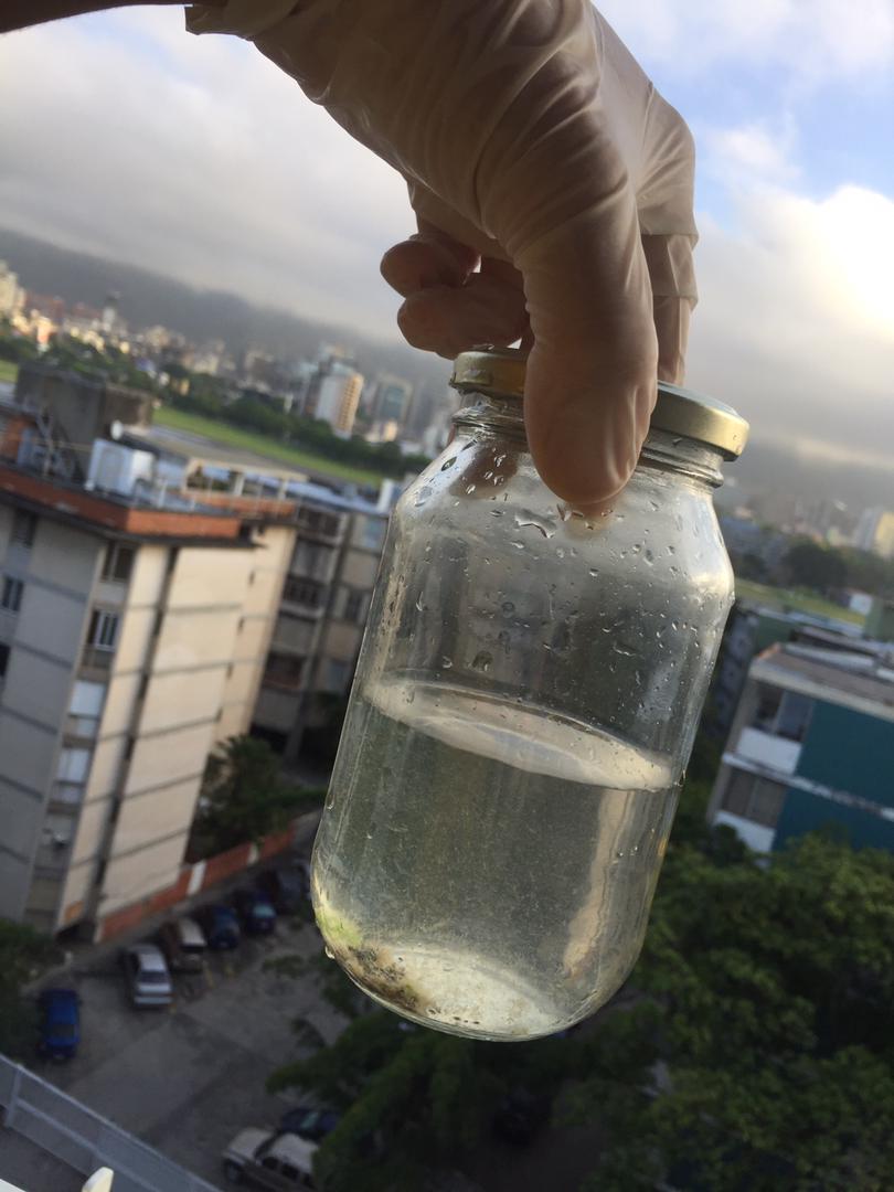 Researchers track COVID-19 in wastewater around the globe