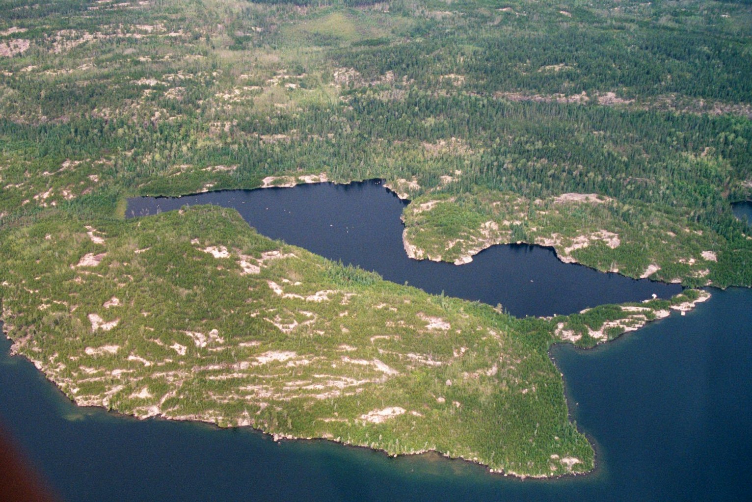 Predicting recovery of mercury-contaminated fish populations