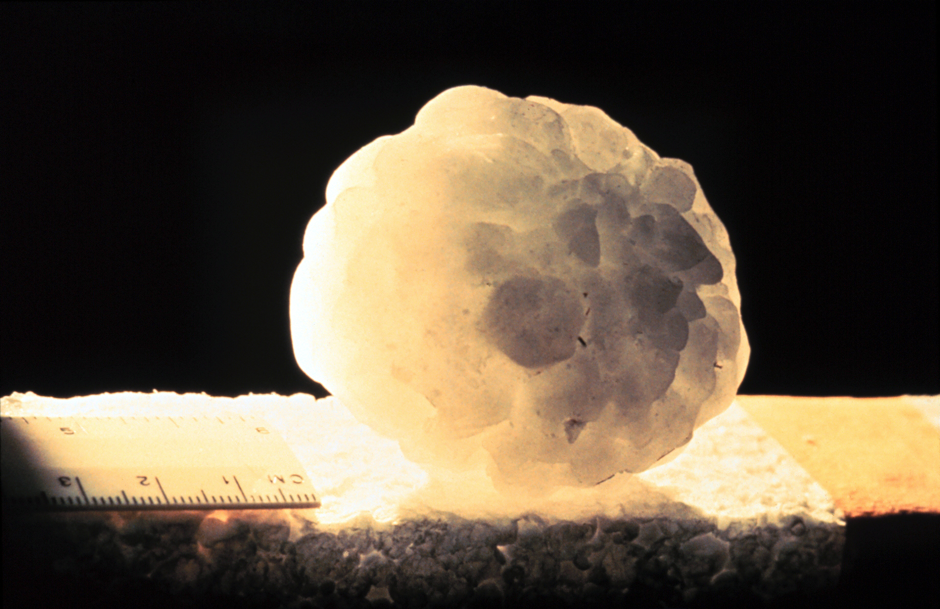 Severe weather experts join Western’s Northern Hail Project