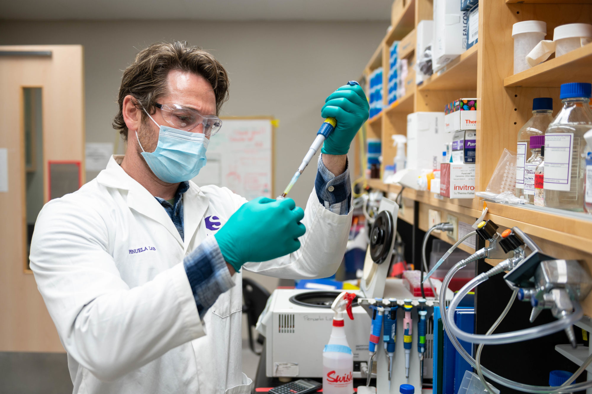 Genetics could be key to curbing obesity