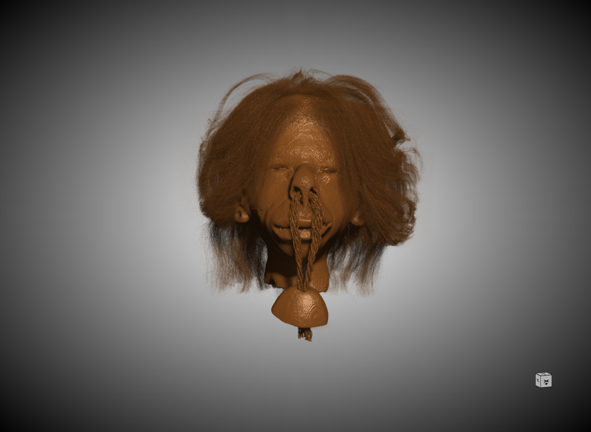 Bioarchaeologists confirm museum shrunken head as human remains
