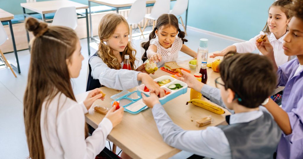 Western University study underscores need for food literacy, national school food program