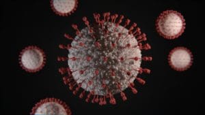Image of COVID-19 virus