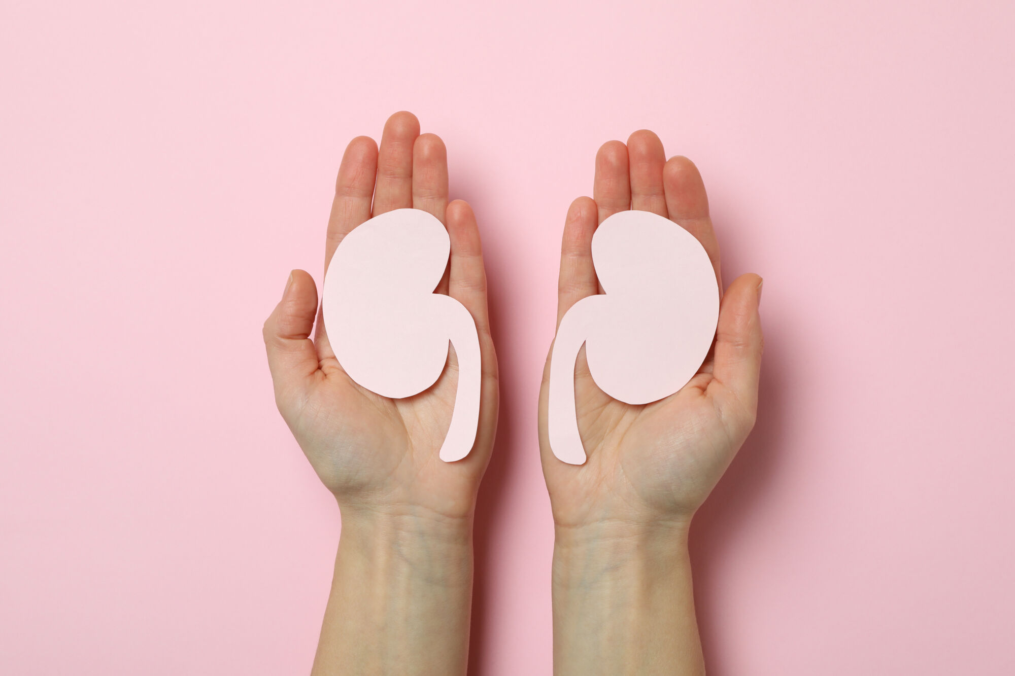 Media Advisory: Western and health partners to announce new investment in kidney research March 31