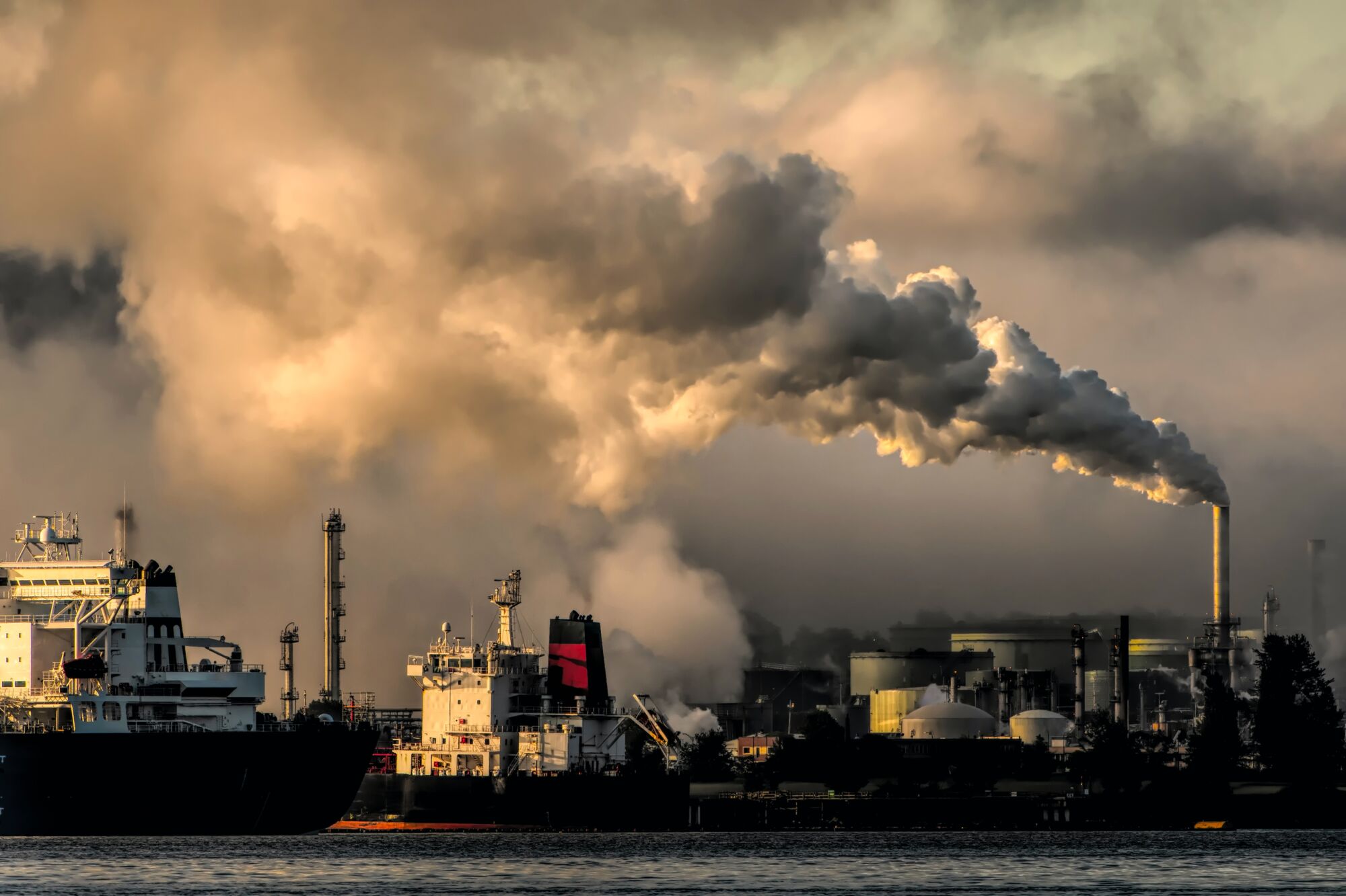 Climate-changing human activity predicted to cause 1 billion deaths; new study
