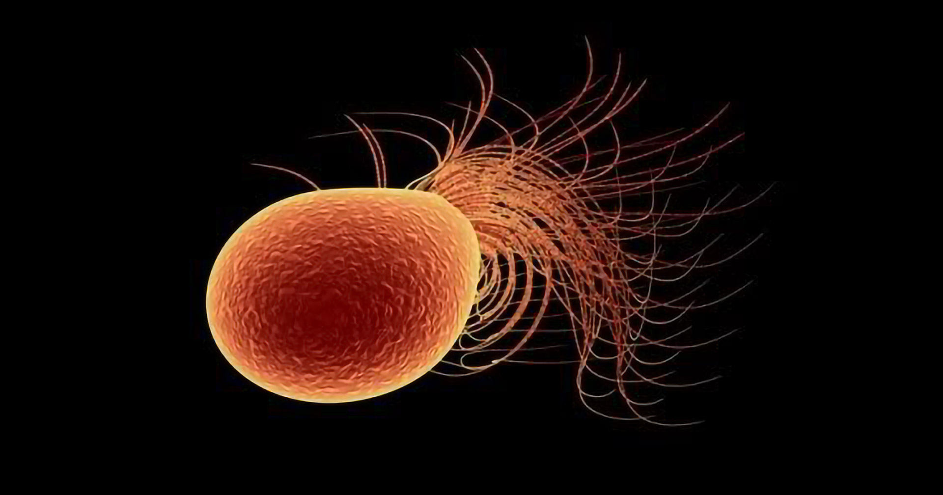 Extreme environments leave genomic imprint in tiny organisms: Study