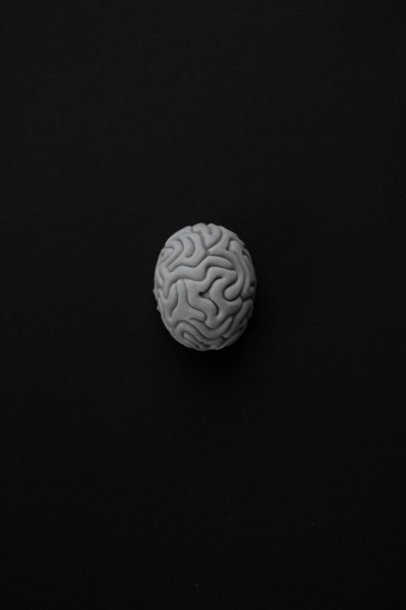 Western-led human brain “growth chart” project receives $1M in funding