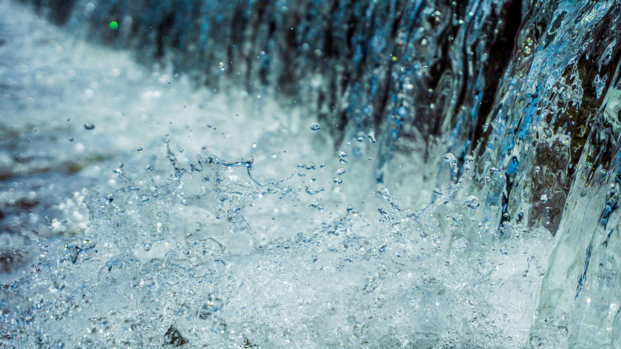 The future of freshwater | CBC’s Quirks & Quarks