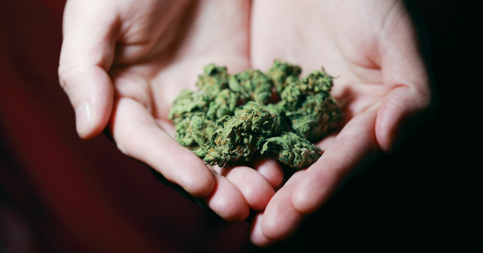 Experts available to comment ahead of the six-year anniversary of the legalization of cannabis 