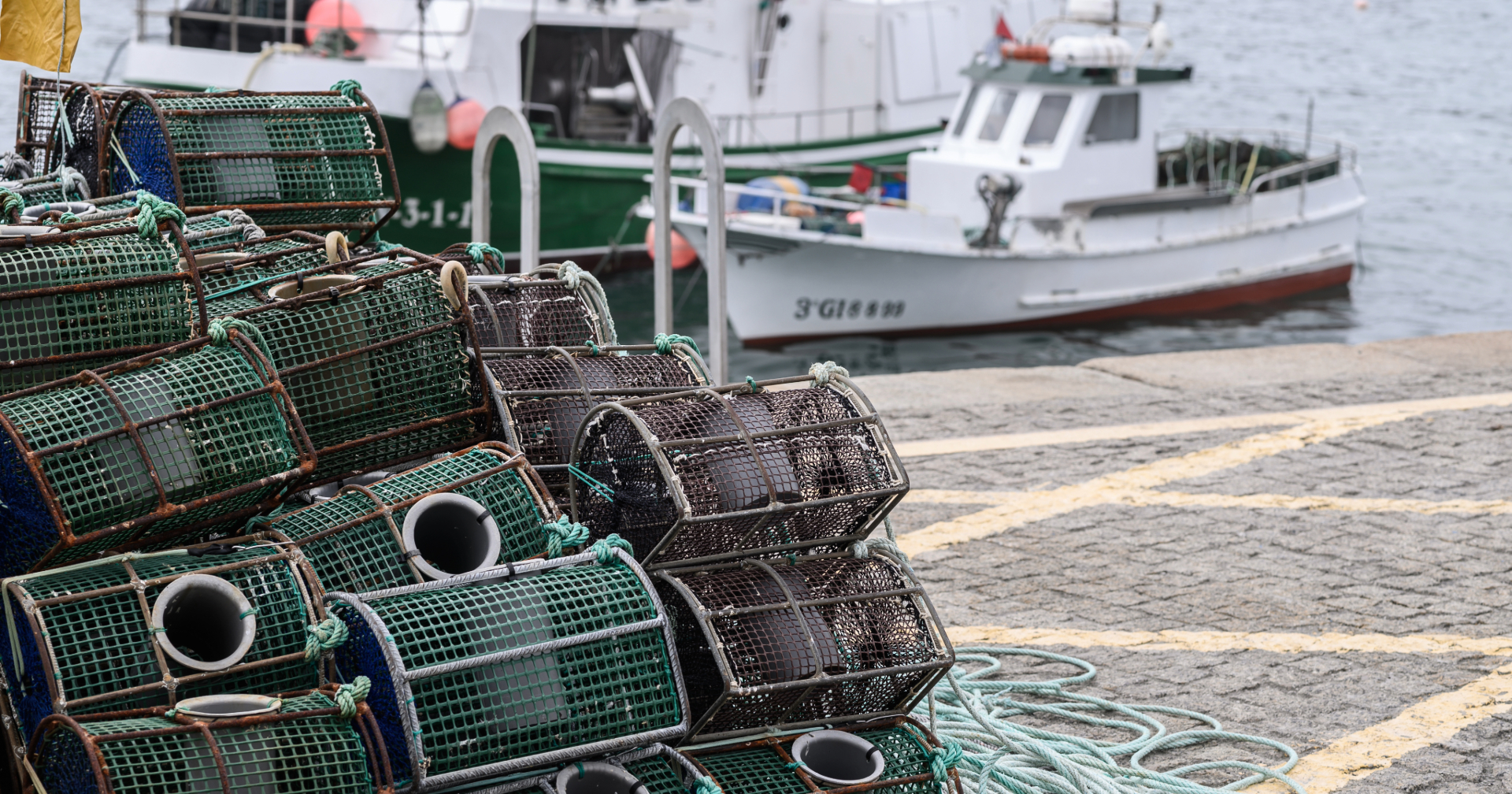 Western-led project seeks sustainable, entrepreneurial solutions in fishing industry