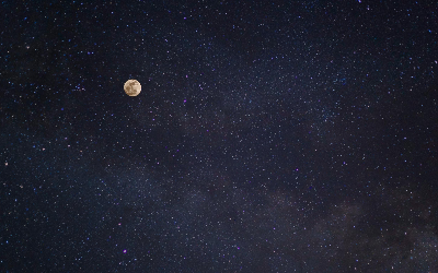 A new Earth-like planet could determine what makes a planet habitable