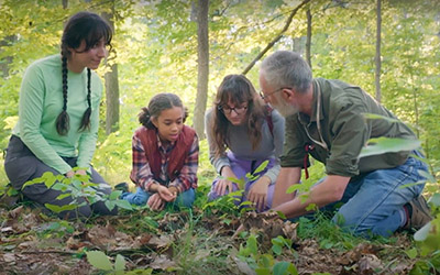The Secrets of the forest: Marvelous mycorrhizae | TVO Kids