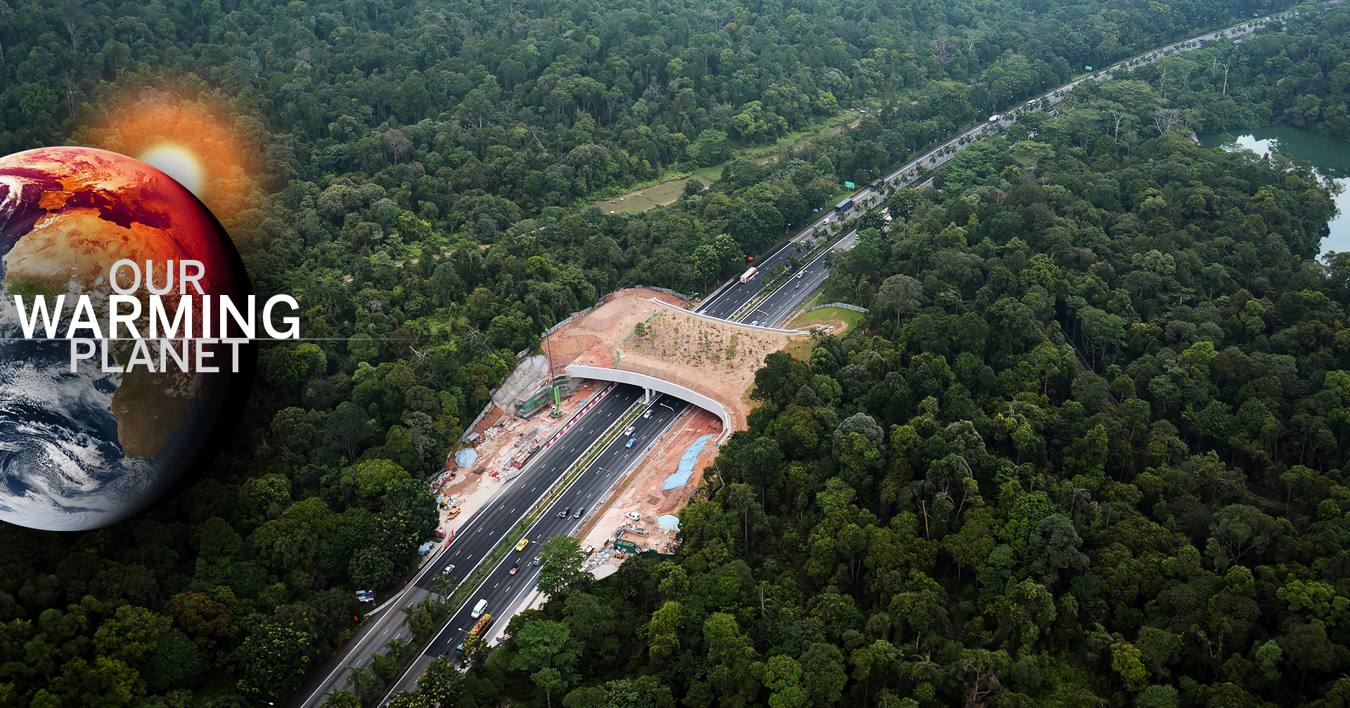 ‘Most promising path:’ Using nature-based solutions to respond to climate change