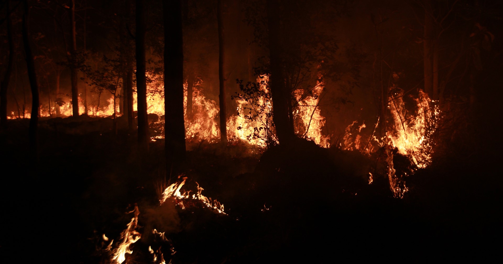 Experts available on devastating wildfires in Los Angeles