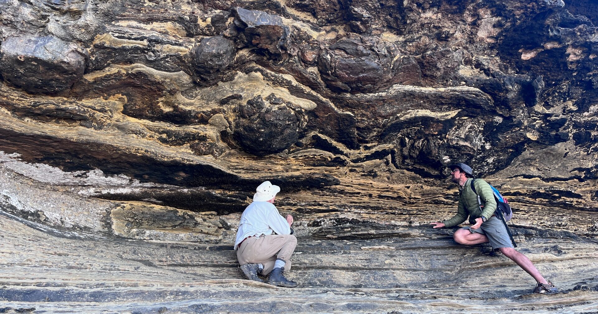 Western prof reports first evidence of Cretaceous Period dinosaurs in South Africa