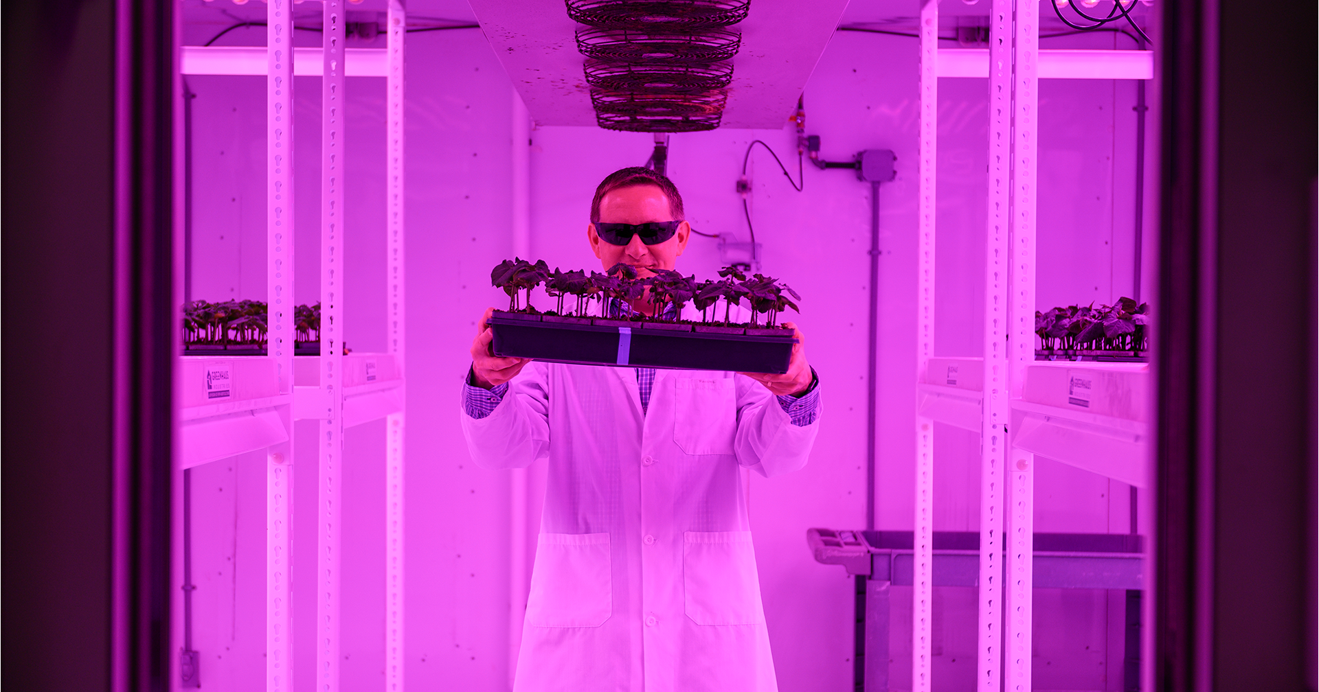 Western researcher receives funding from ARIA to unlock potential of plants