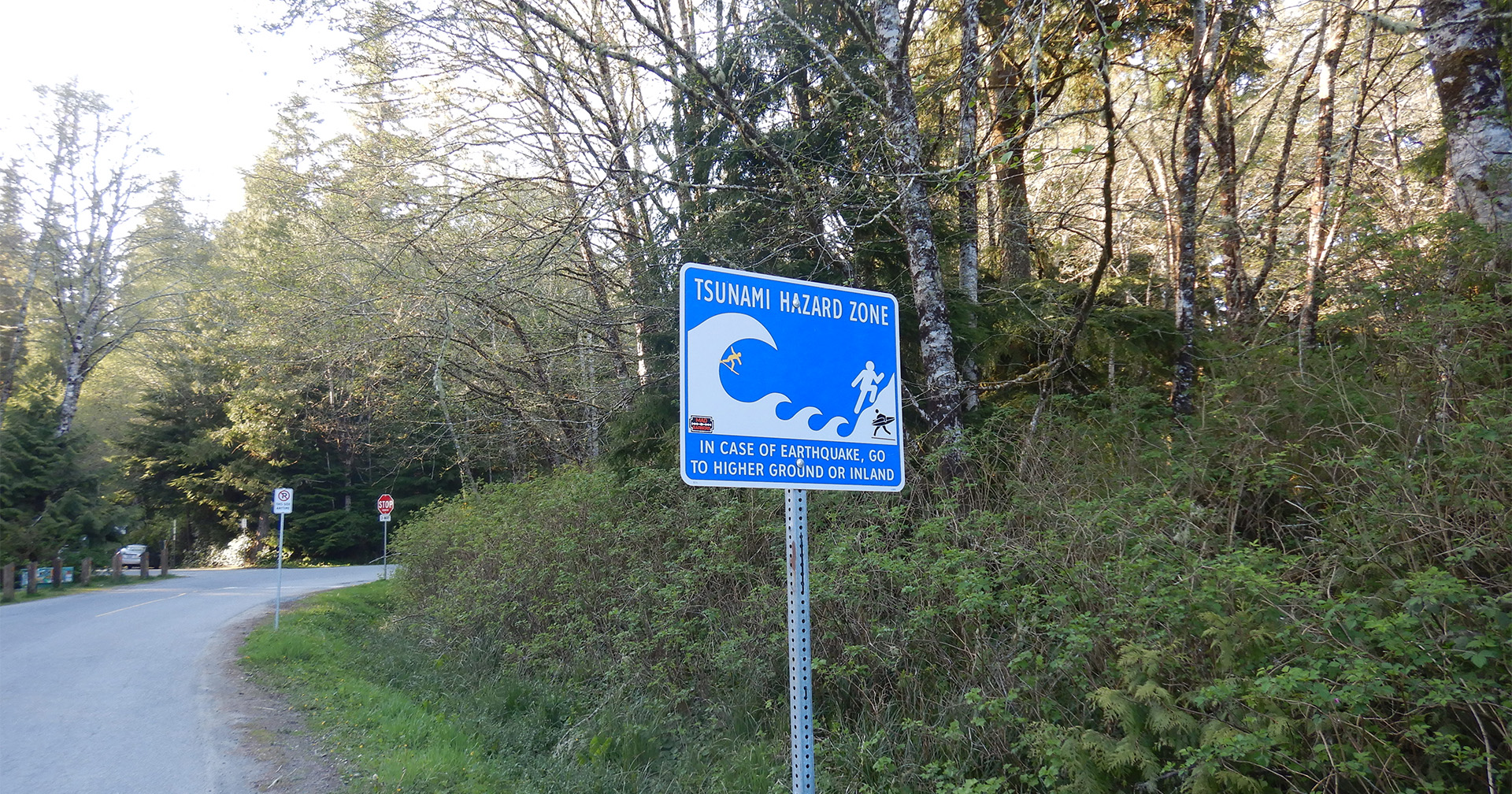 New machine learning model improves early tsunami warnings