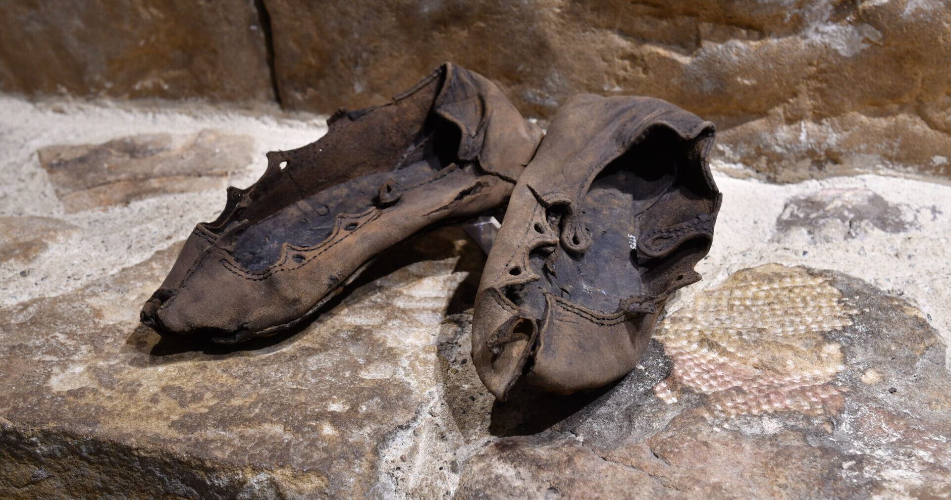 New research re-examines Roman Empire’s leather economy