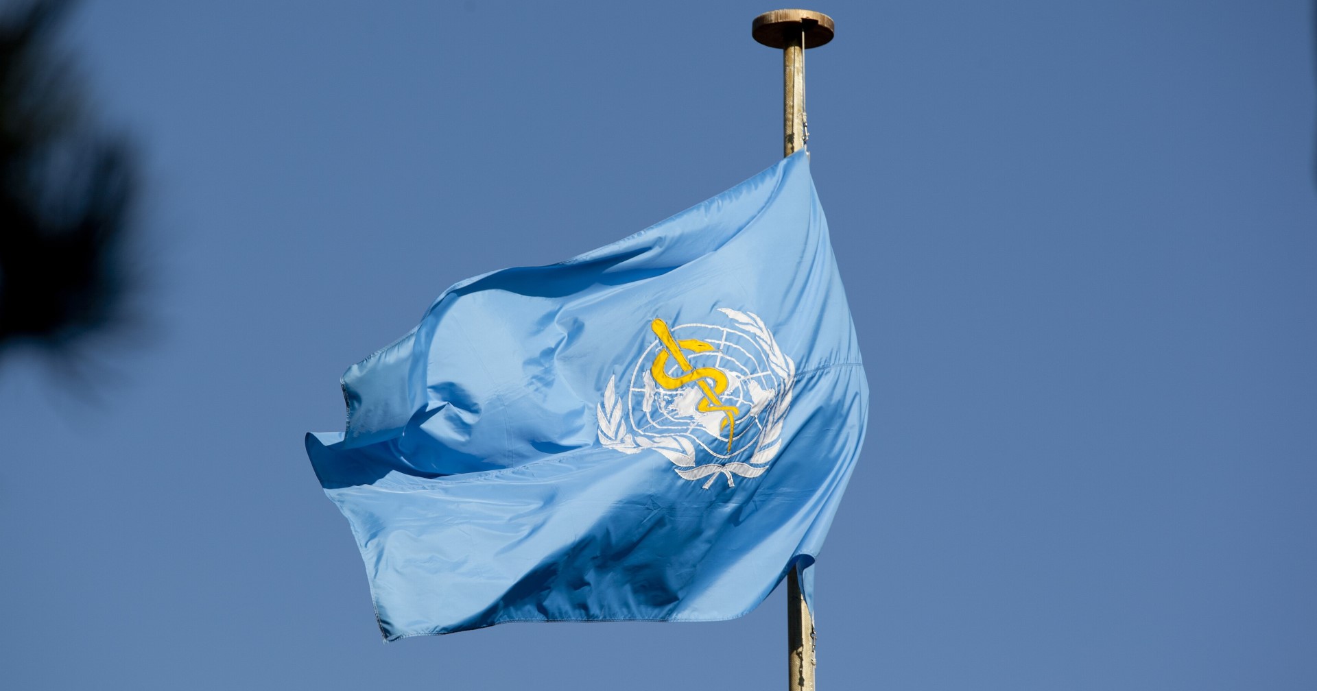 Experts available on U.S. leaving the World Health Organization
