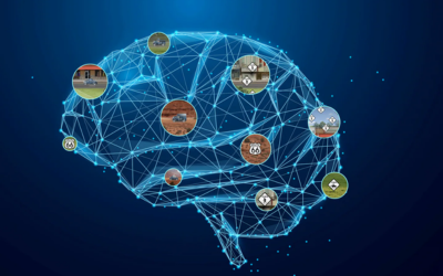 Brain game could cut risk of dementia | The Boston Globe