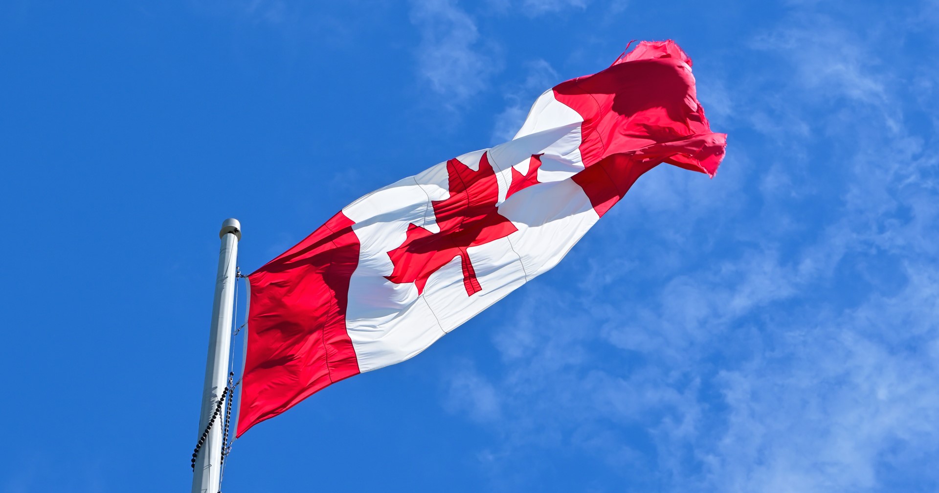 Expert insight: National Flag Day and the history of the Maple Leaf