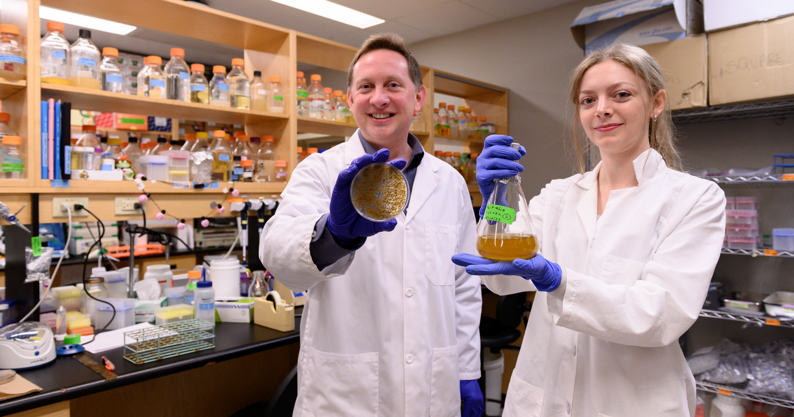 From algae to biofuel: Schulich Medicine & Dentistry researchers discover innovative cell engineering method